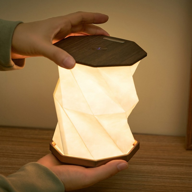 Gingko Twist Hexagon Lamp