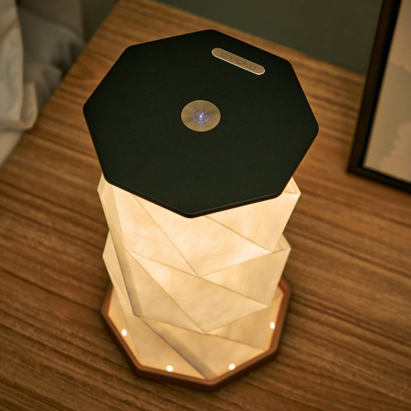 Gingko Twist Hexagon Lamp